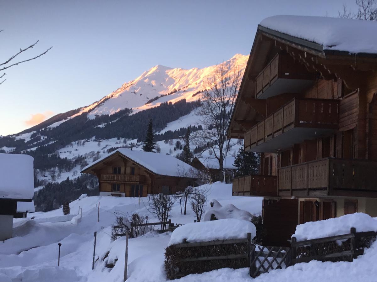 Le Sapin Apartment Les Diablerets Exterior foto